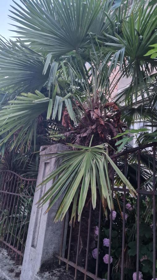 Apartman Roses Zagabria Esterno foto